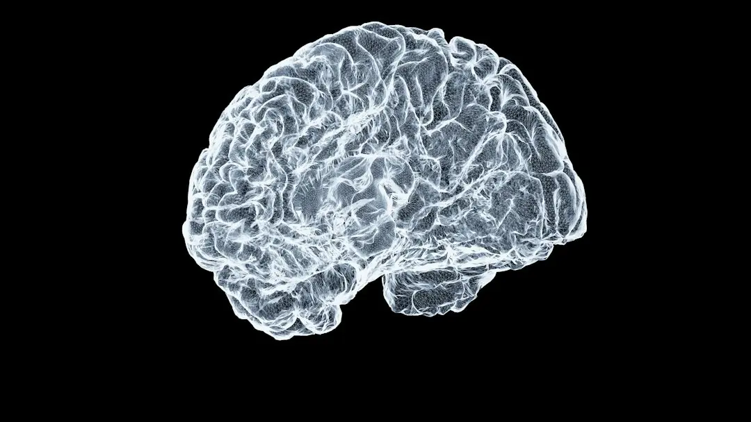 Scannuri cerebrale dezvăluie legătura dintre obezitatea cronică și declinul cognitiv