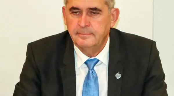 Deputatul Sandor Bende cere energie ieftină și avertizează asupra tranziției forțate